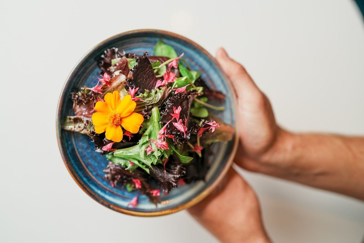 A salad bowl at Tides, St Ives